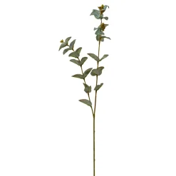 Artificial Eucalyptus Risdonii Stem 25" - Green