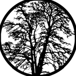 Bare Tree - Stock Gobo for Gobo Light Projectors - Choose your size!
