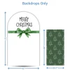 Christmas 1 Foam Core Birthday Backdrop Kit by PopScene™