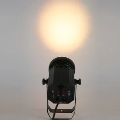 Cob Light - 80 Watt - Black
