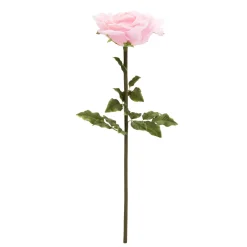 Decostar™ Jumbo Rose 42½