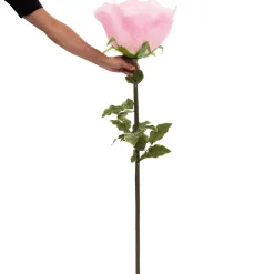 Decostar™ Jumbo Rose 53