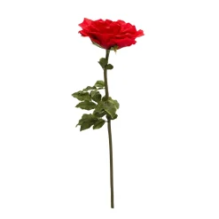 Decostar™ Jumbo Rose 44