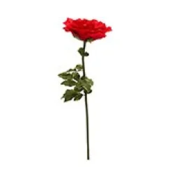 Decostar™ Jumbo Rose 42½