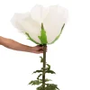 Decostar™ Jumbo Rose 65" - White