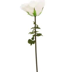 Decostar™ Jumbo Rose 65