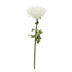 Decostar™ Jumbo Rose 44
