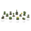 Decostar™ Artificial Assorted Potted Cactus 12pcs/set