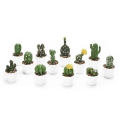 Decostar™ Artificial Assorted Potted Cactus 12pcs/set