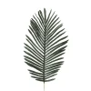 Decostar™ Artificial Fern Leaves - (12 Pieces) - 8" x 21"