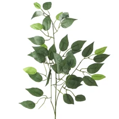 Decostar™ Artificial Ficus Leaf Stem (12 stems) - 21" x 34"