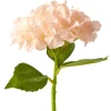 Decostar™ Artificial Hydrangea Stem - 14" Blush