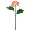 Decostar™ Artificial Hydrangea Stem 23½" - Blush