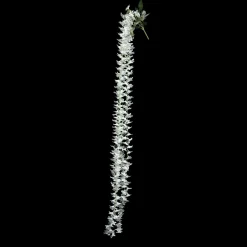 Decostar™ Artificial Plumeria Flower Stem White