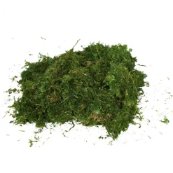 Decostar™ Bag Natural Moss - Half Pound