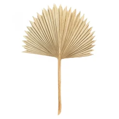 Decostar™ Dried Sun Palm Leaf - 14"