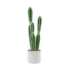 Decostar™ Faux Euphorbia Cactus With Pot - 24"