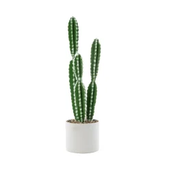 Decostar™ Faux Euphorbia Cactus With Pot - 24"