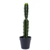 Decostar™ Faux San Pedro Cactus with Pot - 20"