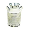 Decostar™ Galvanized Farmhouse Jug - White