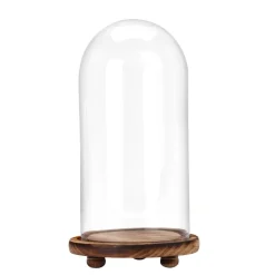 Decostar™ Glass Dome with Wood Base 13"