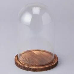 Decostar™ Glass Dome with Wood Base- 12 Pieces