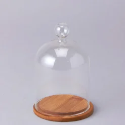 Decostar™ Glass Dome with Wood Base- 24 Pieces