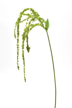 Decostar™ Green Artificial Amaranthus Dangling Spray 46"