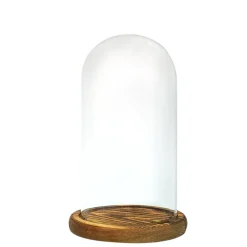Decostar™ 8.5in Glass Dome with Wood Base
