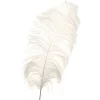 Decostar™ Ivory Ostrich Feather - 22" to 24" - 12 Feathers!