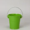 Decostar™ Metal Pail Bucket Apple Green