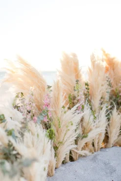 Decostar™ Natural Boho Dried Pampas Grass Plumes - 60