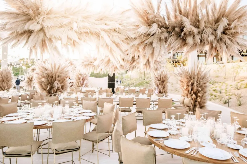 Decostar™ Natural Boho Dried Pampas Grass Plumes - 60" - Natural