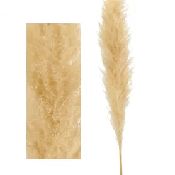 Decostar™ Natural Boho Dried Pampas Grass Plumes - 60