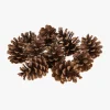 Decostar™ Natural Large Pine Cones 10pc/bag