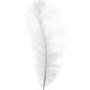 Decostar™ Ostrich Feather 13"-15" - Pack of 48 - White