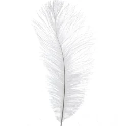 Decostar™ Ostrich Feather 13"-15" - Pack of 48 - White