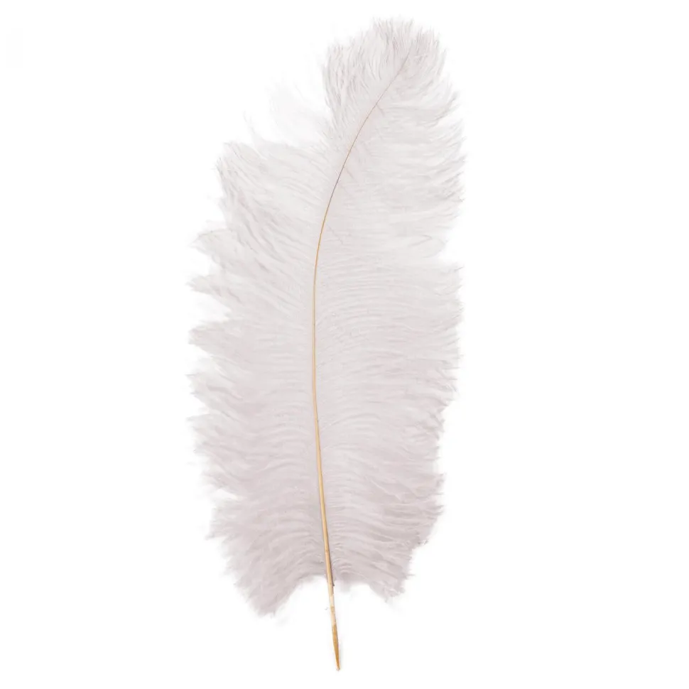 Decostar™ Ostrich Feather 12pc/bag 13"-15" - White