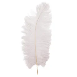 Decostar™ Ostrich Feather 23" 10pc/bag - White