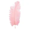 Decostar™ Ostrich Feather 12pc/bag 13"-15" - Blush