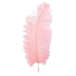 Decostar™ Ostrich Feather 12pc/bag 13"-15" - Blush