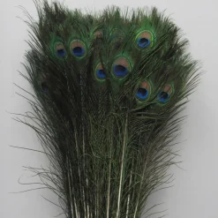 Decostar™ Peacock Feather 35"-39" - Pack of 100!
