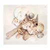 Decostar™ Seashells Assorted- 36 Bags