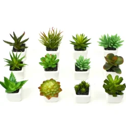 Decostar™ Succulents 1¾" 12pc/set - Green