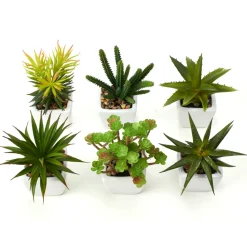 Decostar™ Succulents 2¾" 6pcs/set - Green