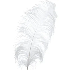 Decostar™ White Ostrich Feather - 22" to 24" - 12 Feathers!