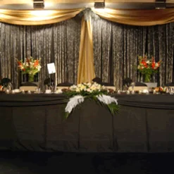DELUXE 2 Panel Standard Backdrop - 8-20ft High
