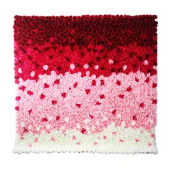 Deluxe Red, Pink & White Ombre Floral Wall - Curtain Style - Easy Install! Select Size