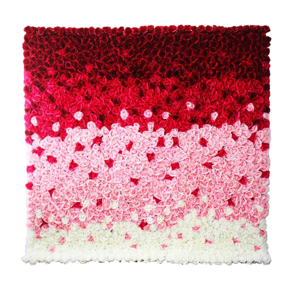 Deluxe Red, Pink & White Ombre Floral Wall - Curtain Style - Easy Install! Select Size