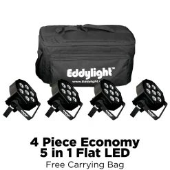 Economy 5 in 1 Flat LED Par - 4 Pack w/ Carrying Bag